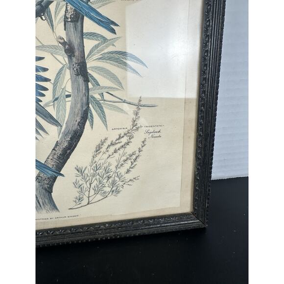 VTG 1950's Arthur Singer Framed Bird Lithograph Print signed Original Frame - Picture 4 of 10